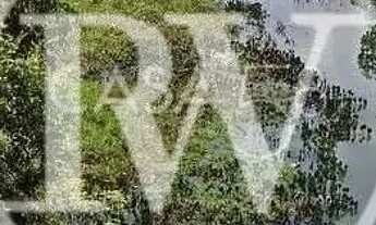 Imagem 2: Fazenda à Venda em Goiás 201 Alqueires, Cana-de-Açúcar, Topografia Plana etc