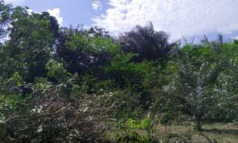 Imagem 7: Terreno no paço do lumiar