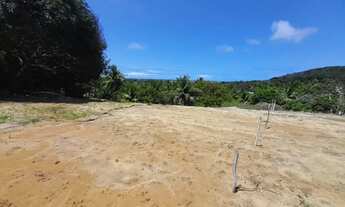 Imagem 2: Chácara à Venda na Barra de São Miguel próximo ao Chácaras da Barra Alagoas