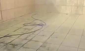 Imagem 7: Vendo Casa com 2 dormitórios