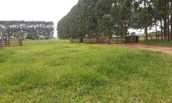 Imagem 4: 302 alqueires em Serranópolis-GO