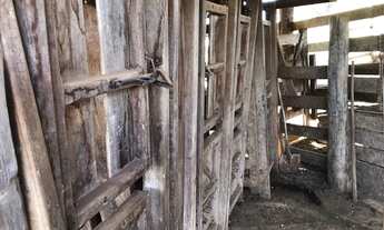 Imagem 6: Fazenda de 91 alqueires em Guapo-Go