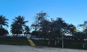 Imagem 7: Vendo chácara a beira do rio São Francisco