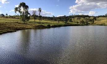 Imagem 2: Fazenda de 91 alqueires em Guapo-Go