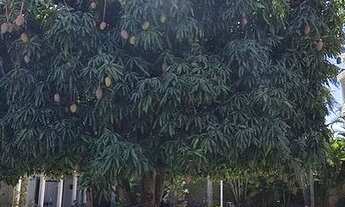 Imagem 7: Casa para aluguel e venda possui 775 metros quadrados com 7 quartos. Atibaia / Vila Giglio