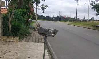 Imagem 2: Alugo Casa Quatro Barras