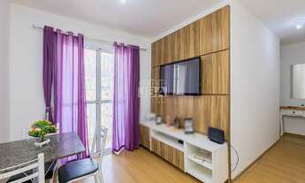 Imagem 3: CURITIBA - Padrão - Tingui