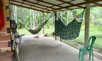 Imagem 6: Sítio Itaqui castanhal 4 km Br