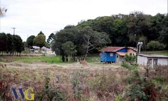 Imagem 7: Chácara para Venda em Balsa Nova, Centro