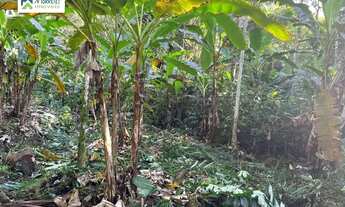 Imagem 3: Área à venda no bairro Rio Sagrado - Morretes/PR