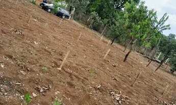 Imagem: Lote fazenda velha