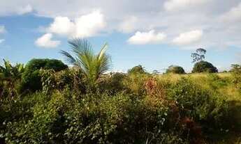 Imagem 5: Sítio sítio em engenho major pitanga 1 área 4