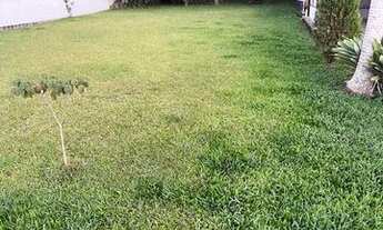 Imagem 3: Terreno Palhoça