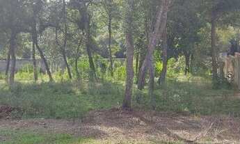 Imagem 4: Casa com 3 dormitórios à venda por R$ 1.900.000,00 - Ganchinho - Curitiba/PR