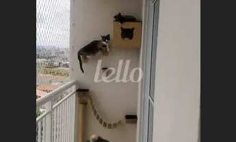 Imagem 4: São Paulo - Apartamento Padrão - Vila Prudente