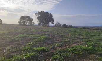 Imagem 2: Não perca essa oportunidade !