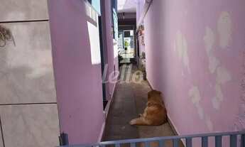 Imagem 7: São Caetano do Sul - Casa Padrão - Fundação