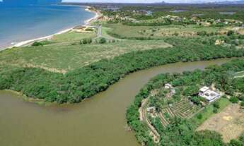 Imagem 3: Oportunidade Chácara em Meaípe 5.000 m² R$ 1,5 milhão com plantação de pitaías