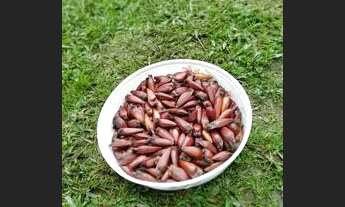 Imagem 5: Troco ou vendo Linda chácara