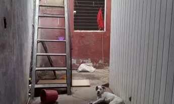 Imagem 3: Vendo casa em Petropolis LEIA!!!!!