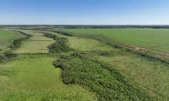 Imagem 6: 179. Excelente fazenda para lavoura em Dourados /MS