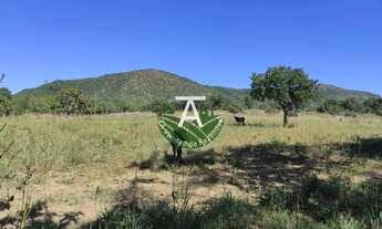 Imagem: Fazenda no Faina GO 38 alq