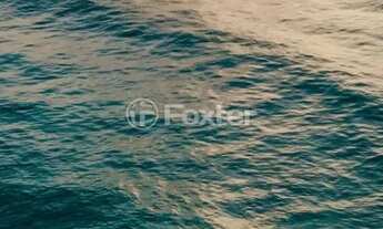 Imagem 5: Apartamento à venda Avenida Campeche, Campeche - Florianópolis