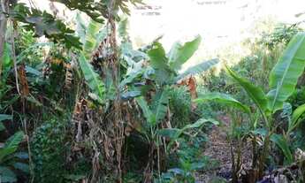 Imagem: Lote 550 m² - Centro Viçosa