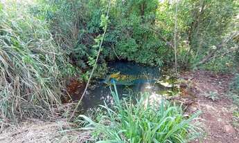 Imagem 7: Chácara à venda, 24200 m² por R$ 350.000,00 - São João Doeste - Cascavel/PR