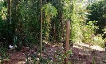 Imagem 6: Terreno santa Isabel