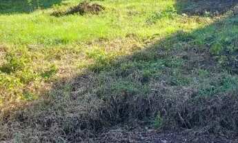 Imagem 4: Terreno Bairro Santa Cândida