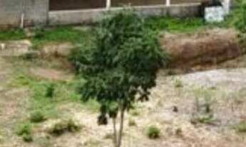 Imagem 6: Rancho serra da mesa diárias