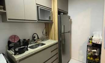 Imagem 7: Jardim de Aruana - Oportunidade [4872