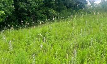 Imagem 6: Ótimo Terreno em Quitandinha - PR