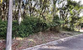 Imagem 2: Terreno à venda no Vivendas do Parque - Gramado - 805m2 R$ 650.000,00