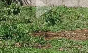 Imagem 2: Lote Residencial frente nascente a 200m da GO em Aragoiânia com 390m2 residencial Chão de