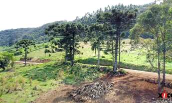 Imagem 5: Sítio / Chácara para Venda em Nova Petrópolis, Linha Brasil Fundos
