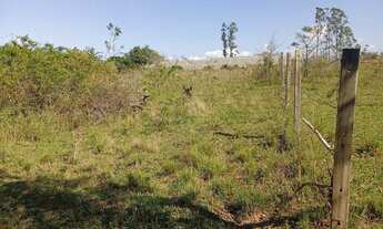 Imagem 7: Terrenos - São Pedro da Aldeia