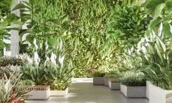 Imagem 4: Apartamento 4 quartos em Praia da Costa