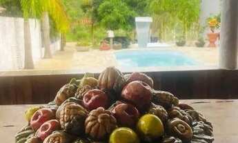 Imagem 5: Chácara com 4 dormitórios à venda, 500 m² por R$ 450.000,00 - Rural - Abadiânia/GO