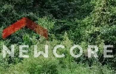 Imagem 5: Lote em rua dos Pinheiros - Alpes Verdes - Canela/RS