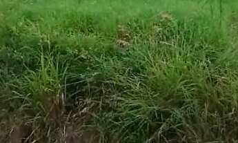 Imagem 3: Lote Terreno / lote com venda por R$14.000