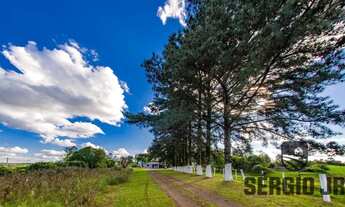 Imagem: Fazenda com 93,5ha, casa, galpões e frente