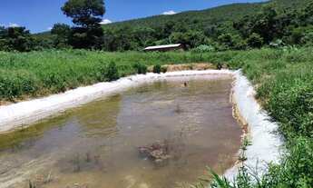 Imagem 2: Chácara 4.000m², à 8km de Jaranápolis-Go, 55 km de Anápolis