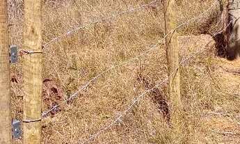 Imagem 3: Chácara terreno 8000m² trevo SJLAGOA