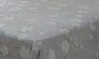 Imagem 6: Casa bem localizada no José Americo