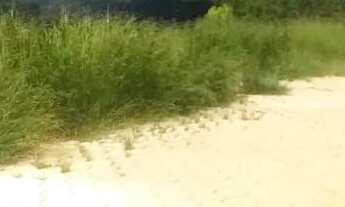 Imagem: Lote em condomínio em Alameda dos Canários