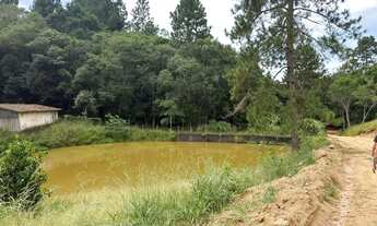 Imagem 6: Terreno plano com boa vista