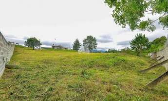 Imagem 7: Vendas Terreno Quatro Barras PR