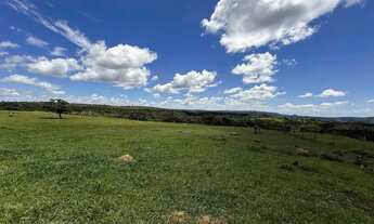Imagem: Imóvel para venda possui 968000 metros